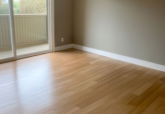 Cigarette Smell & Animal Odors removed Marina del Ray Condo