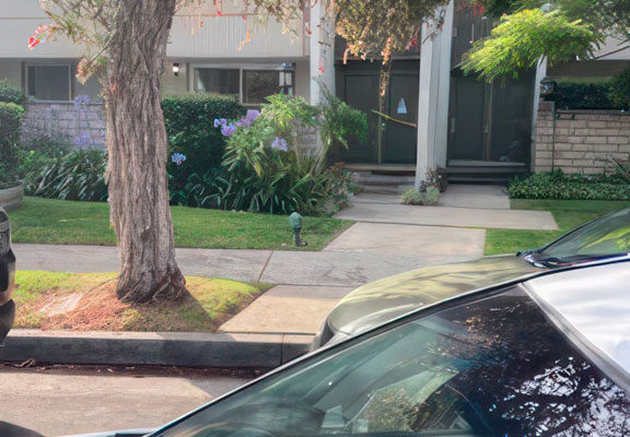 Cigarette Smell & Animal Odors removed Marina del Ray Condo