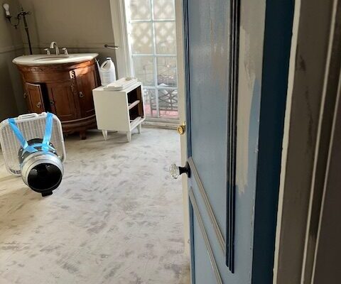 Skunk smell removal in Costa Mesa, CA - Odor Removal Experts of LA and Orange County