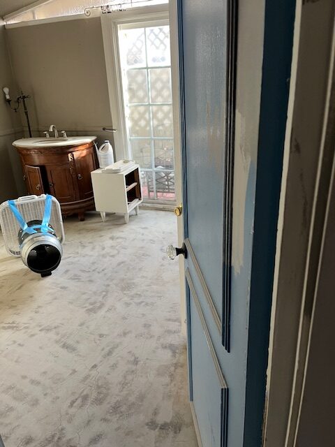 Skunk smell removal in Costa Mesa, CA - Odor Removal Experts of LA and Orange County