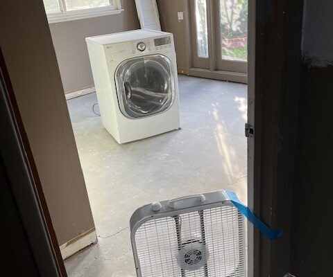 Skunk smell removal in Costa Mesa, CA - Odor Removal Experts of LA and Orange County