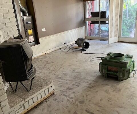 Skunk smell removal in Costa Mesa, CA - Odor Removal Experts of LA and Orange County