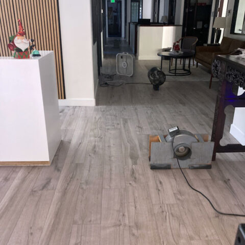 Cigarette Smell Removal - Palos Verdes, CA - Odor Removal Experts of LA & OC