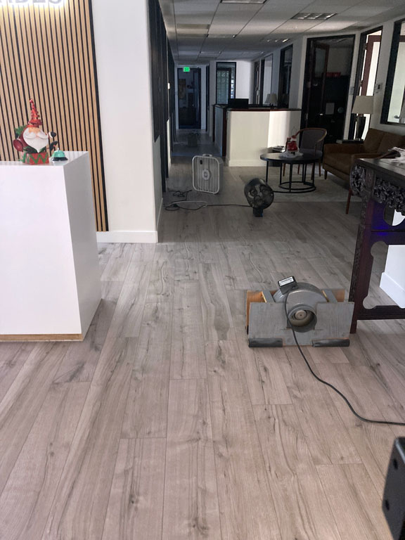 Cigarette Smell Removal - Palos Verdes, CA - Odor Removal Experts of LA & OC