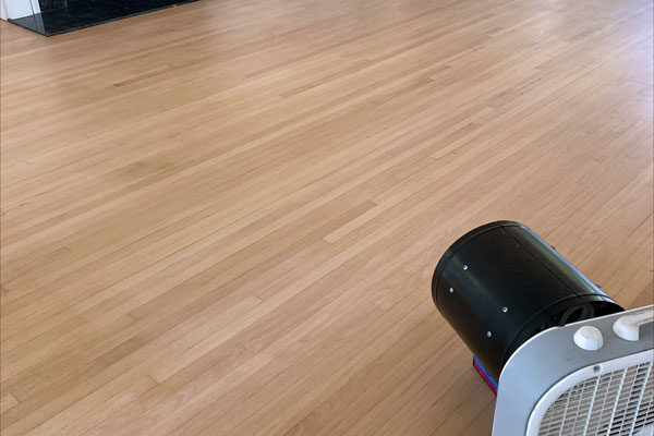 beverly-hills-home-curry-smell-removal-01