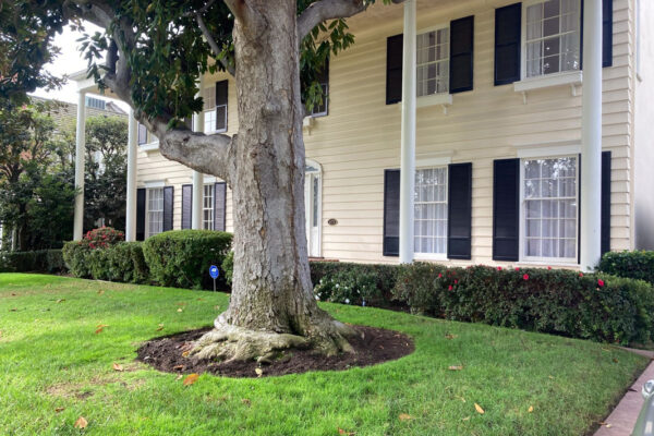 beverly-hills-home-curry-smell-removal-04