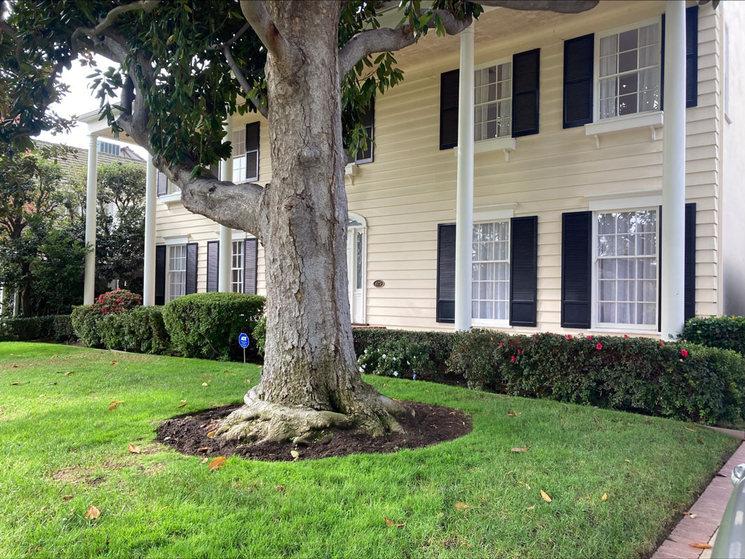 curry cooking smells and basic old house smells removed in Beverly Hills - Odor Removal Experts