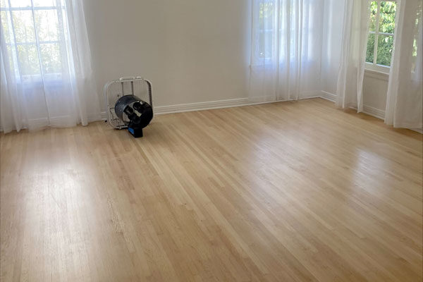 beverly-hills-home-curry-smell-removal-07