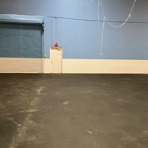 pet-hotel-lake-forest-04