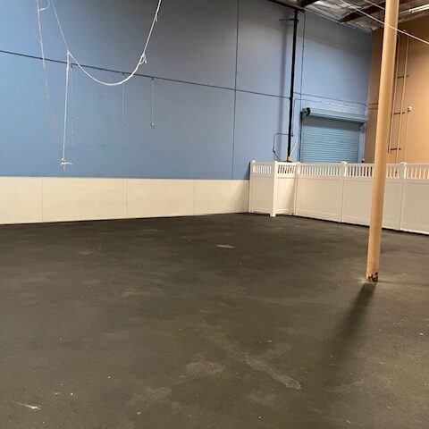 pet-hotel-lake-forest-05