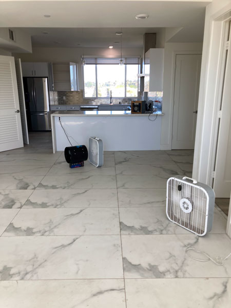 Cannabis smell removal from condo in Culver City, CA - Odor Removal Experts of L.A. and O.C.