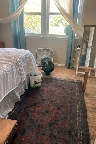 Removed cat pee smell from a home in North Hollywood, CA.