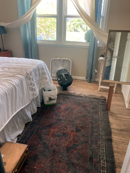 Removed cat pee smell from a home in North Hollywood, CA.