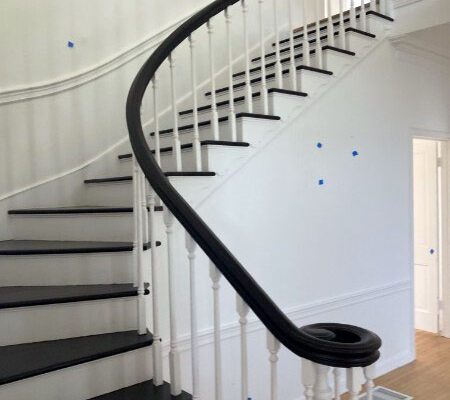 Skunk smell removal in Hollywood Hills, California - Odor Removal Experts of L.A. and O.C.