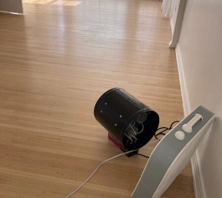 Skunk smell removal in Hollywood Hills, California - Odor Removal Experts of L.A. and O.C.