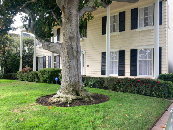 Skunk smell removal in Hollywood Hills, California - Odor Removal Experts of L.A. and O.C.